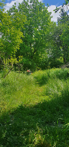 green road