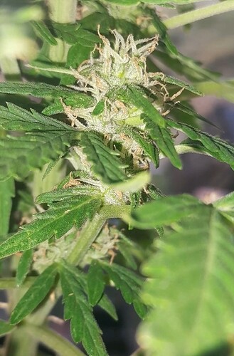 Screenshot_20230104-195825_Video Player