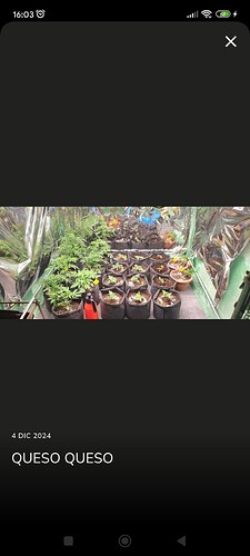 Screenshot_2024-12-04-16-03-37-031_com.unlogical.jane