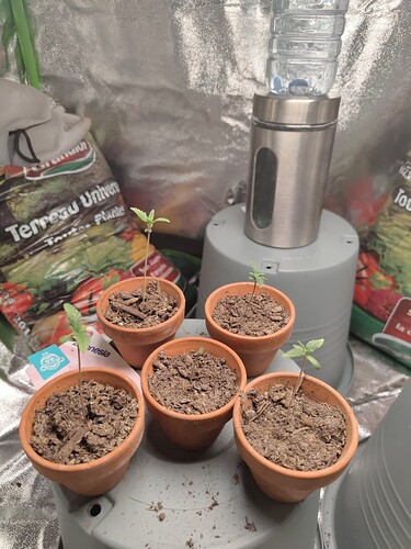 16871584583187598170144535677283