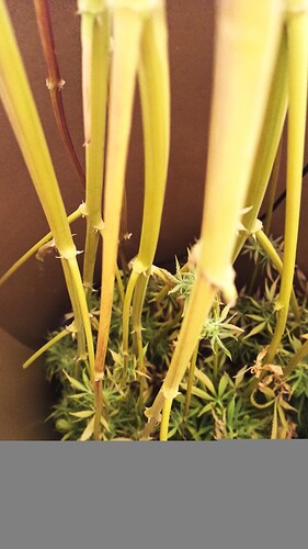 ac1297ad-fed0-482c-bab6-28d013b3093b-1_all_57200