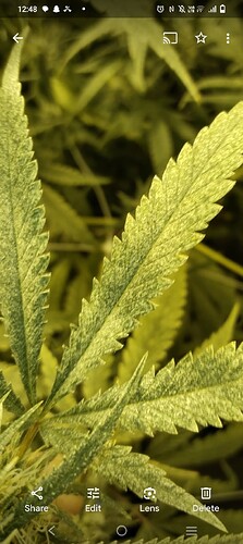 Screenshot_20240617_004847