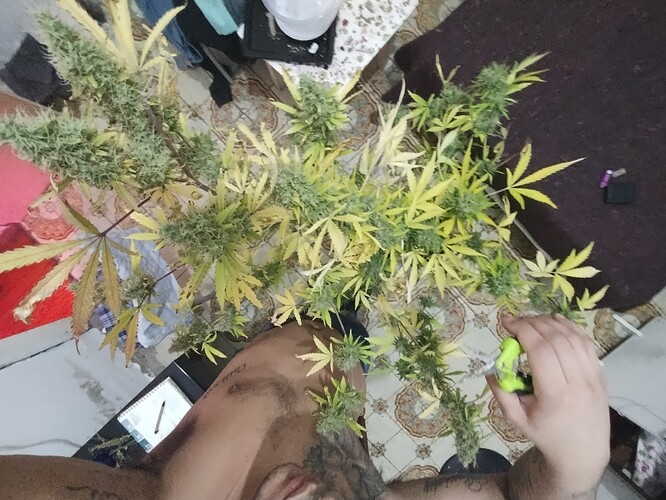 IMG_20230529_200844794