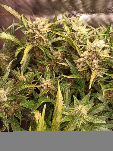 ac1297ad-fed0-482c-bab6-28d013b3093b-1_all_57204