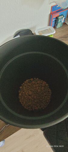 Tag 18 heute neuen Topf 9 l vorbereitet mit frischer Living Soil