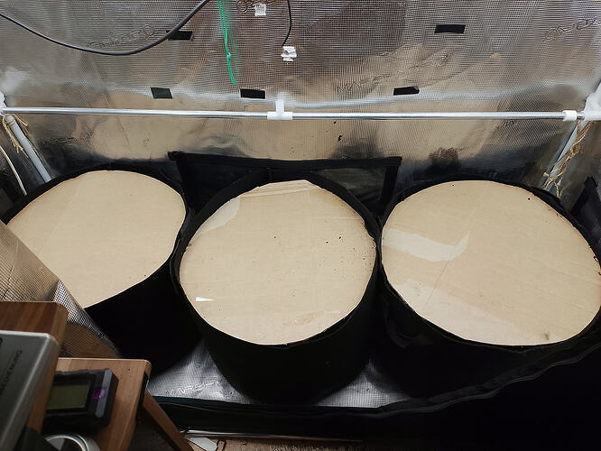 IMG_20260208_181102_HDR