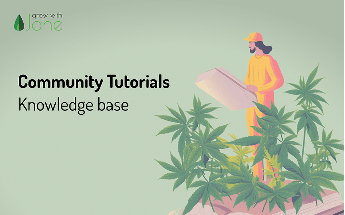 blog - fungus beginners - en (4)