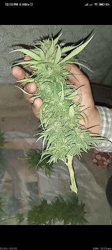 Screenshot_2022-12-10-12-15-52-641_com.mxtech.videoplayer.ad