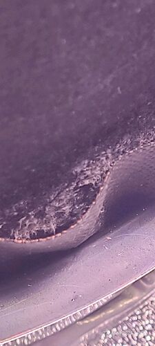 Tag 28 Gelato da kommt das Myzel aus dem Topf gewuchert  27.4.25