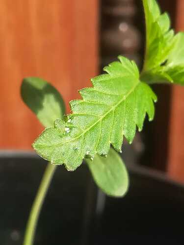 d45746fb-1212-484d-a432-9525a7493af3