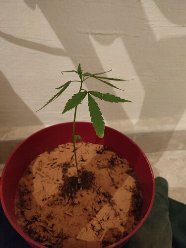 photo_2022-12-31_21-21-20