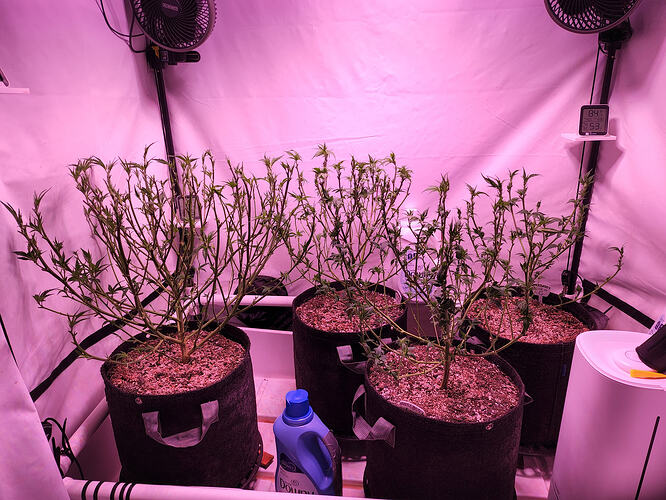 d60596e4-3275-4b96-ac15-aff74b3ce87c-1_all_1024