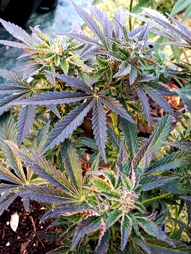 20220602_161916 - Copy