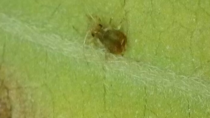 2024-09-17-161206806