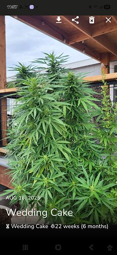 Screenshot_20250829_115706_Jane