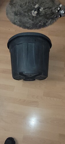 20231115_180250