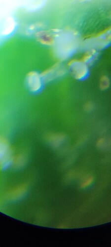 20230905_154633
