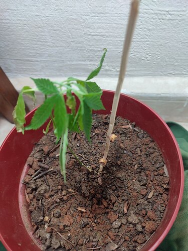 photo_2022-12-30_12-26-44