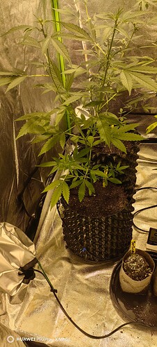 IMG_20250507_192635