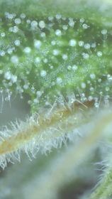 240470655_1937605749734313_5791416454309678638_n