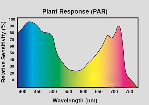 plant_response_par_pro-mix_en