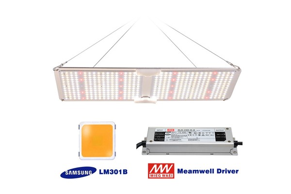 220w-samsung_quantum_board