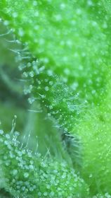 240719383_532688057942644_8109712645758089440_n