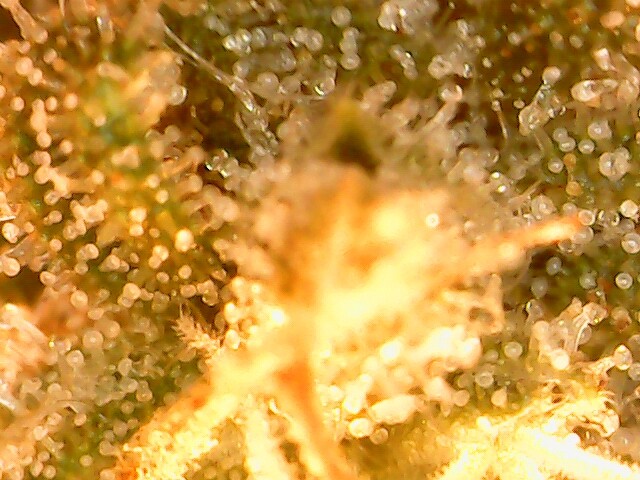 2021-04-27_17-20-16-38