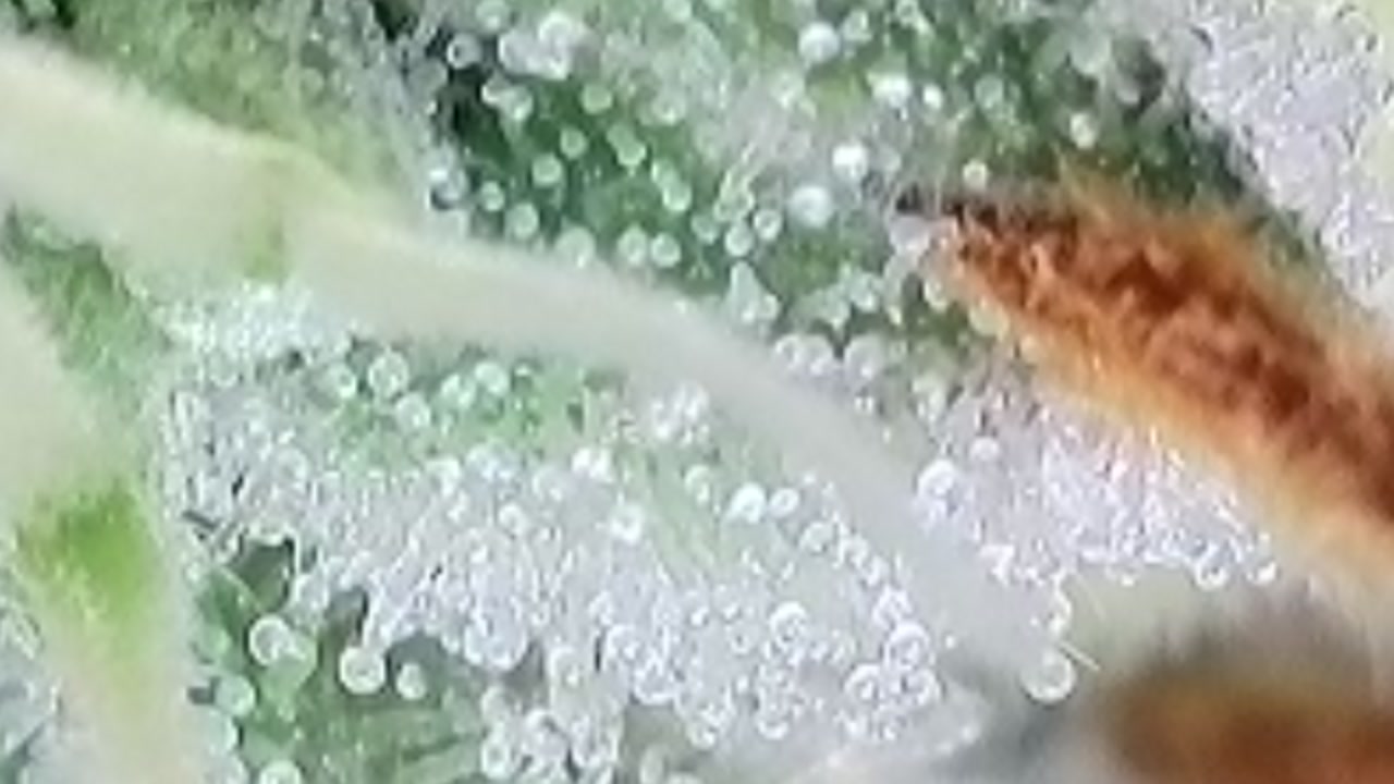 2025-09-27-144725904