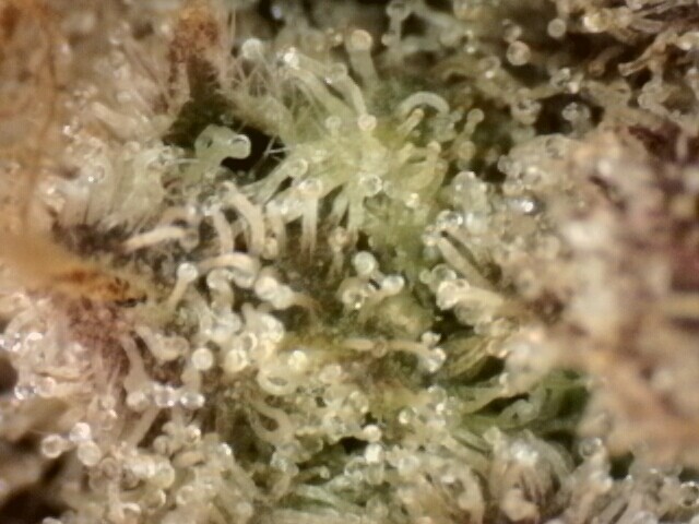 IPC_2025-12-18.13.25.21.6700