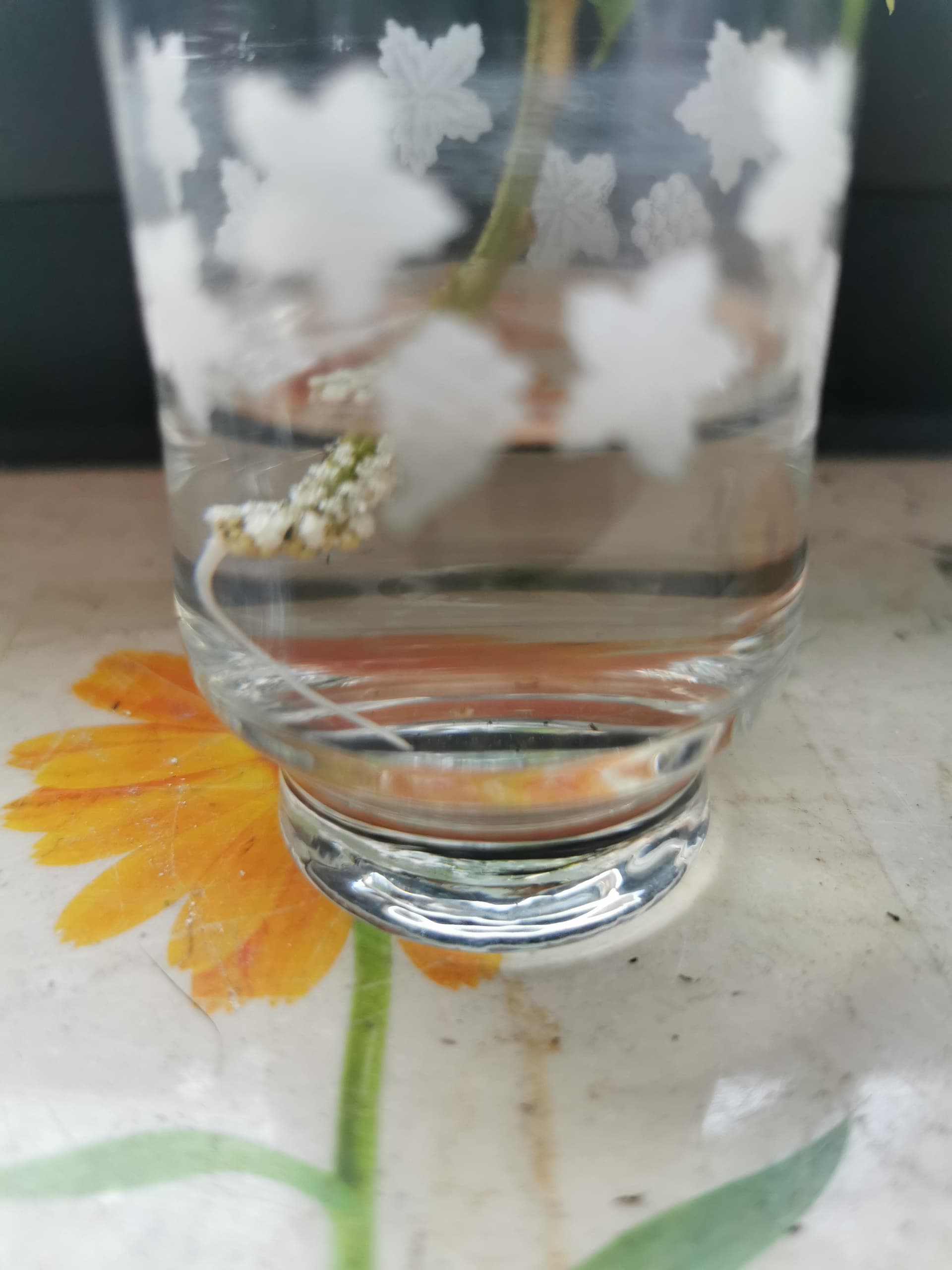 17545496312737254616239045225395