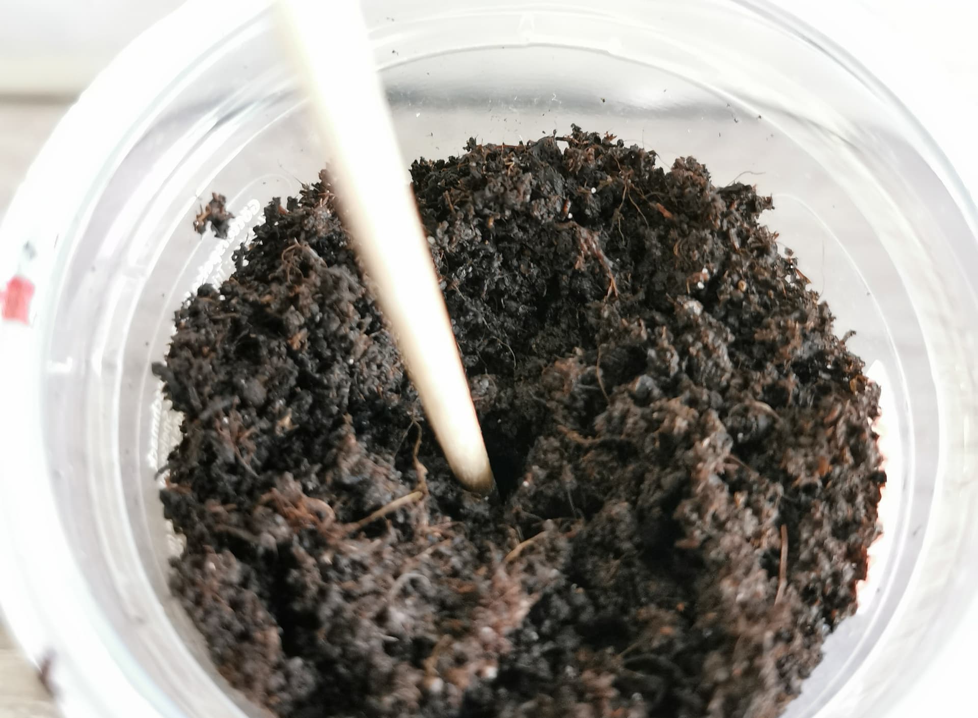 IMG_20250819_120135_edit_647207638135618