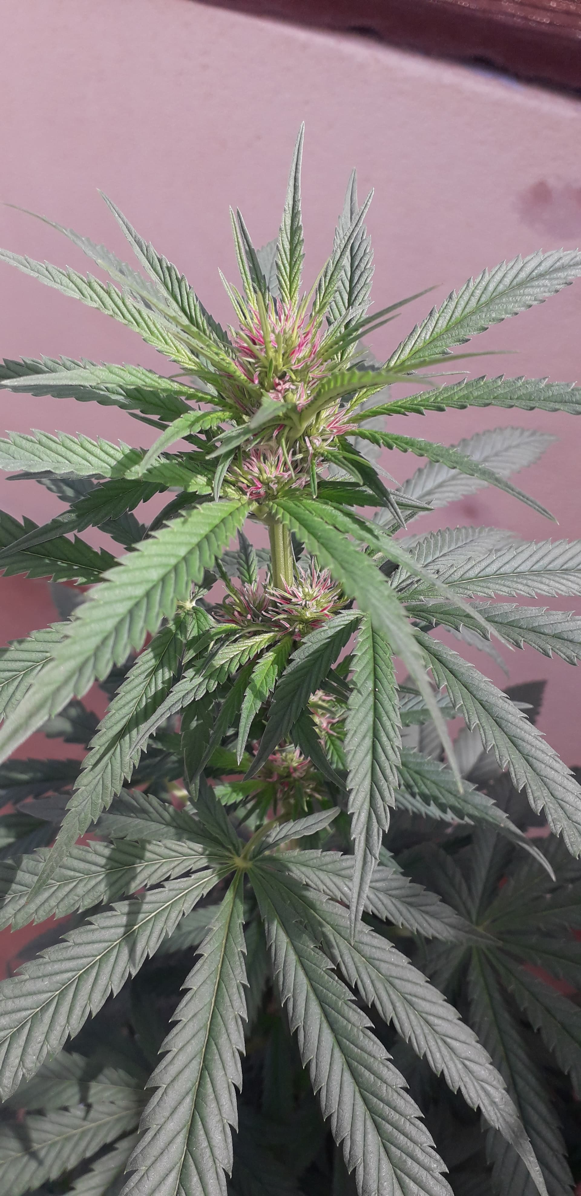 20250812_104911