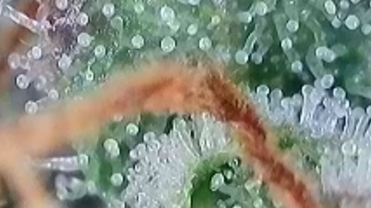 2025-09-27-145159193