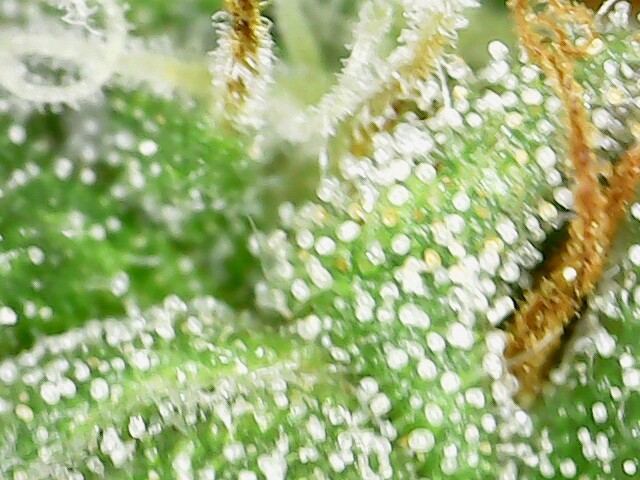 2022-10-02_11-15-11-25