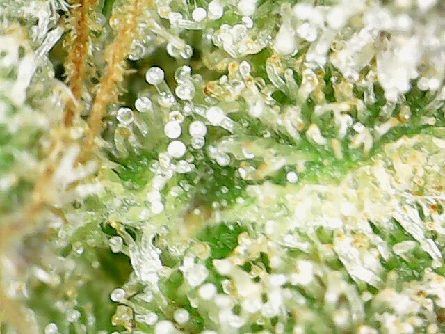 2022-10-21_00-41-48-89