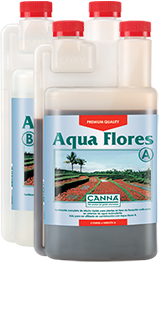 xxx_aqua-flores_content_1