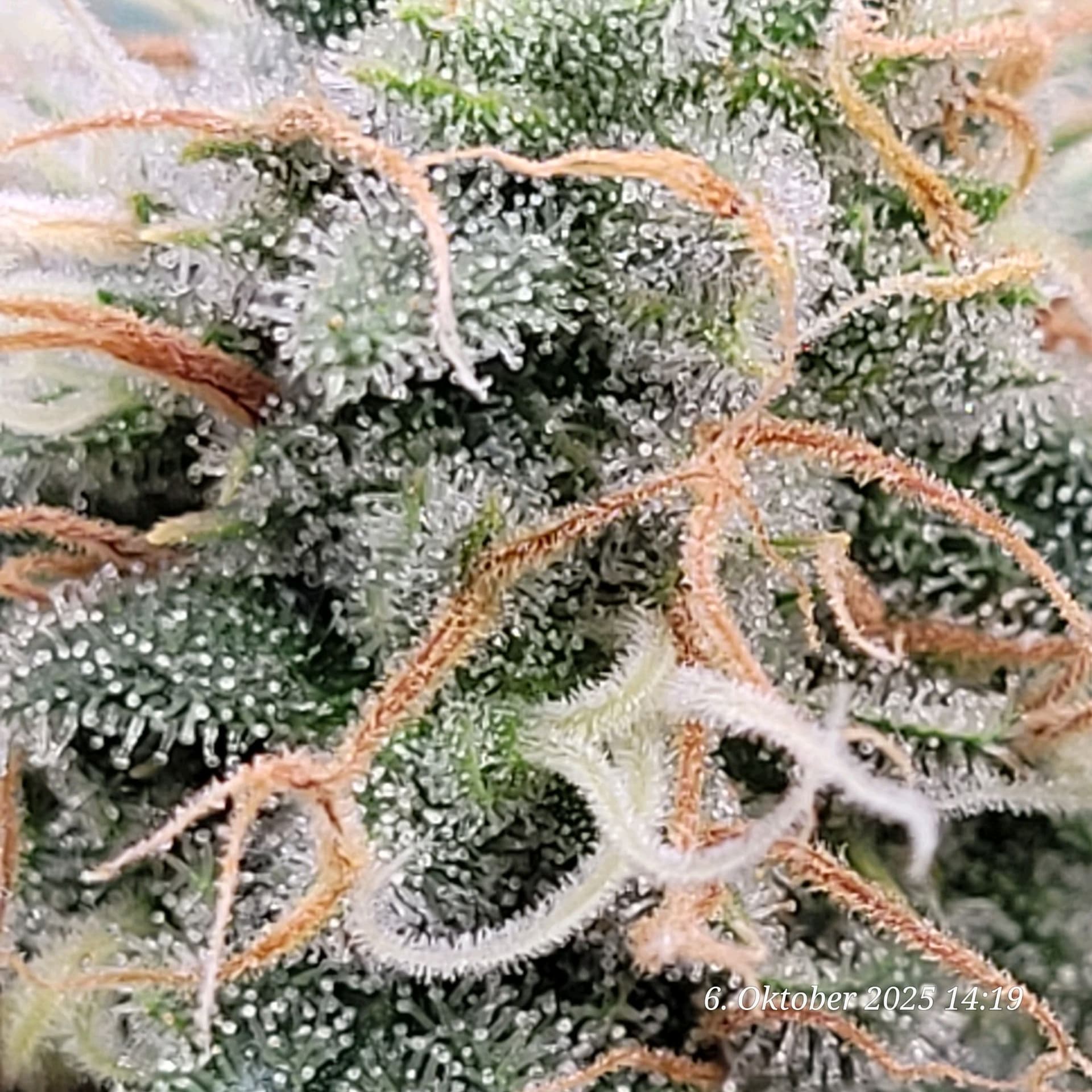 Tag 97 es braucht noch etwas Zeit