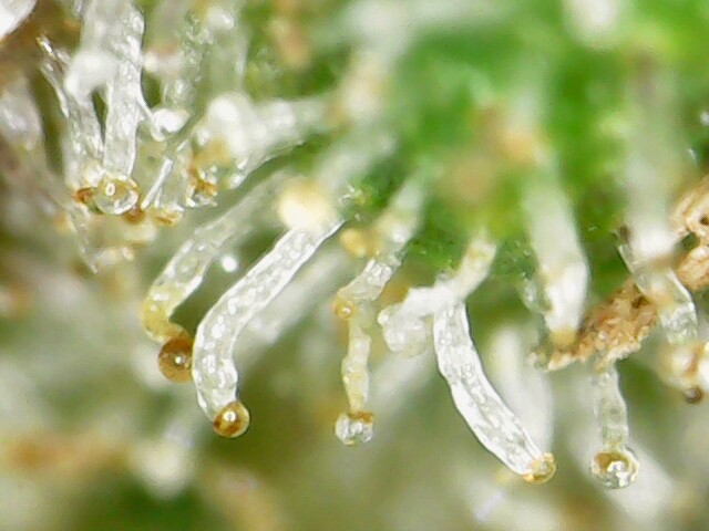 2022-10-21_00-38-58-86