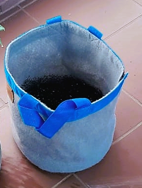 IMG-20220413-WA0022