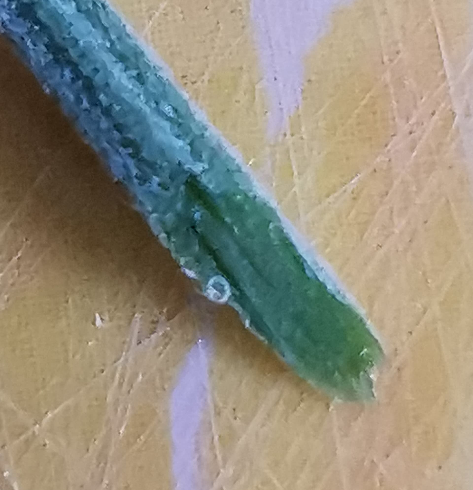 IMG_20250819_115711_edit_647171342132499