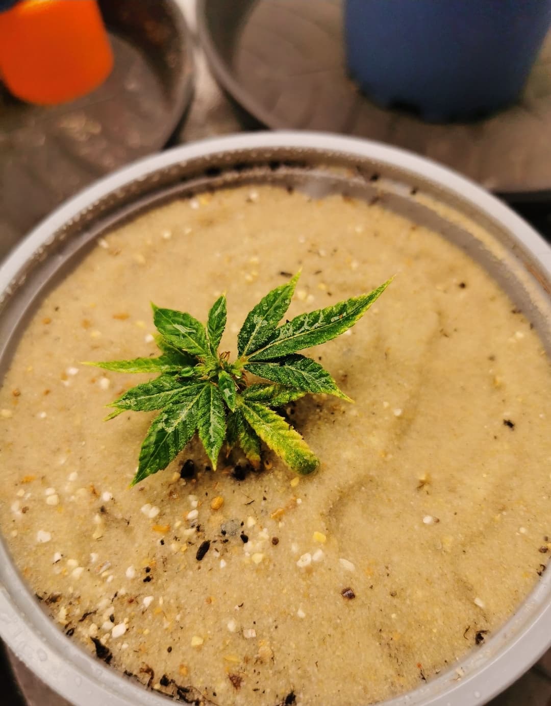 Screenshot_20250825_003418