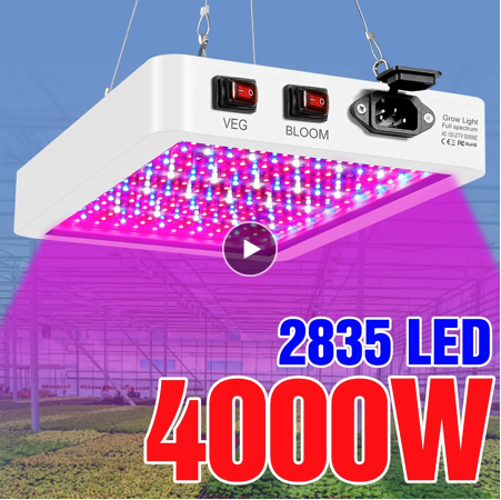 Screen Shot 2022-06-20 at 09.30.13