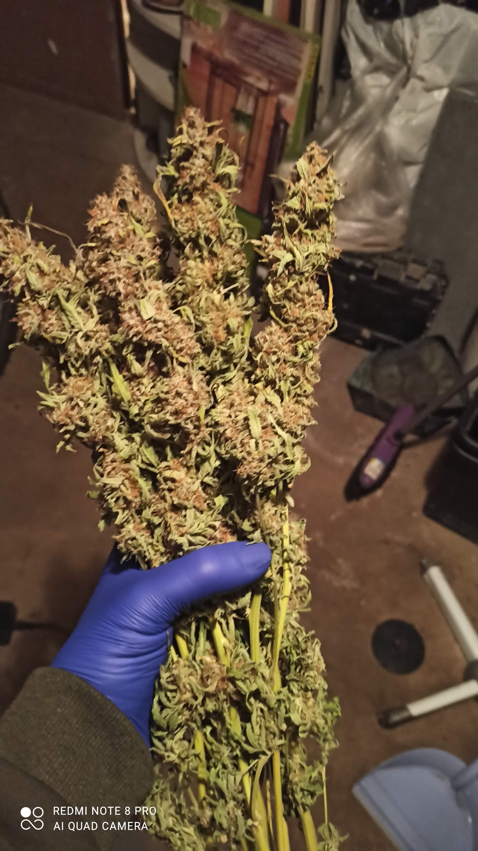 ac1297ad-fed0-482c-bab6-28d013b3093b-1_all_59941