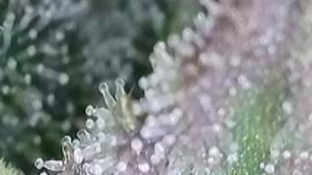 2025-09-27-145500593