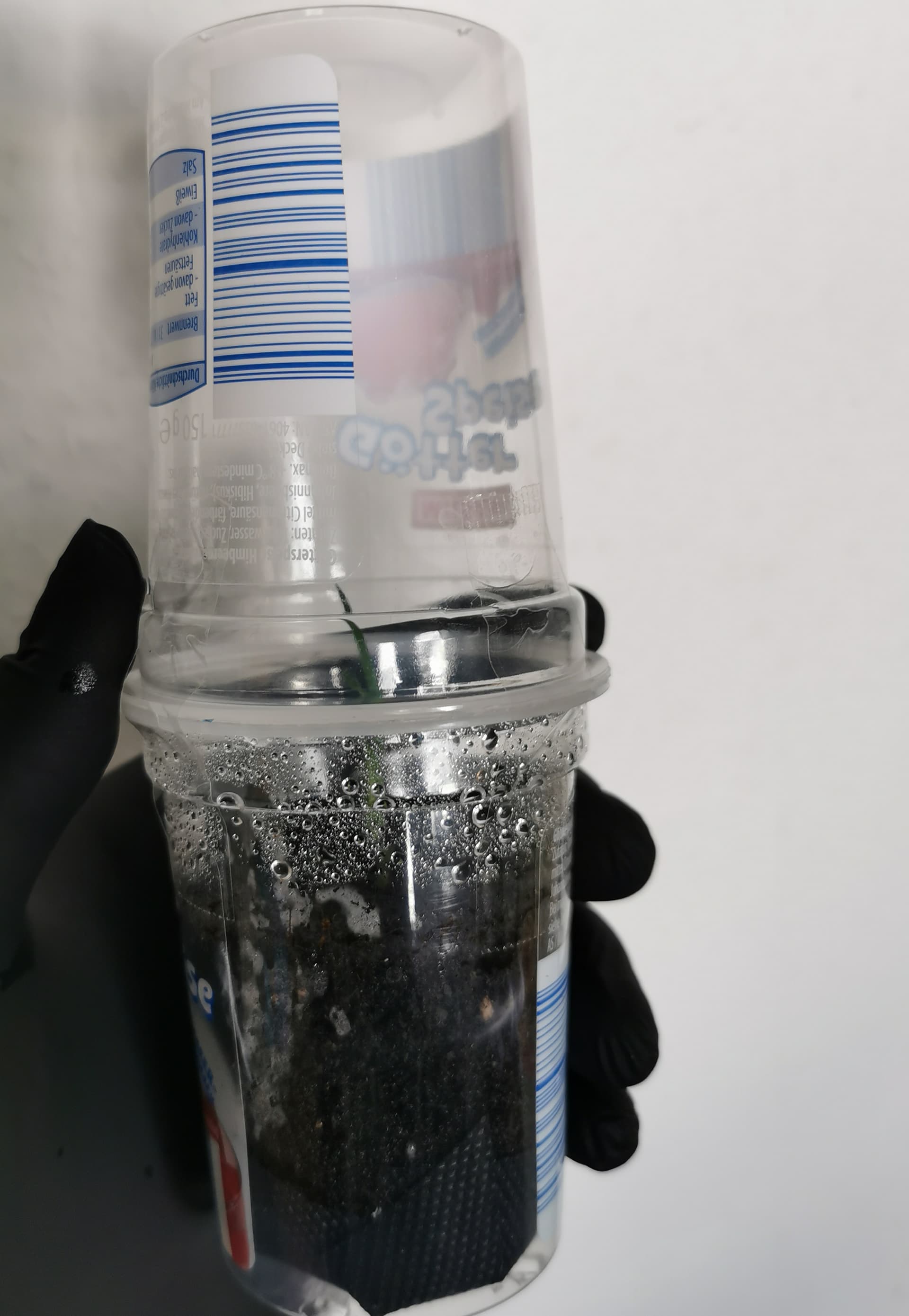 IMG_20250819_120743_edit_647302574750708