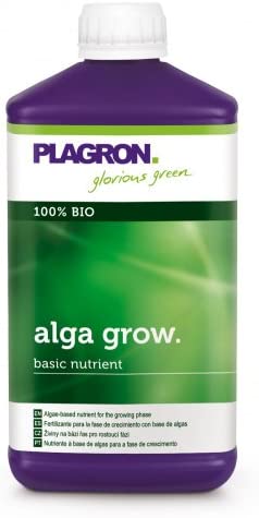 417BsJ91oZL.AC_SY1000