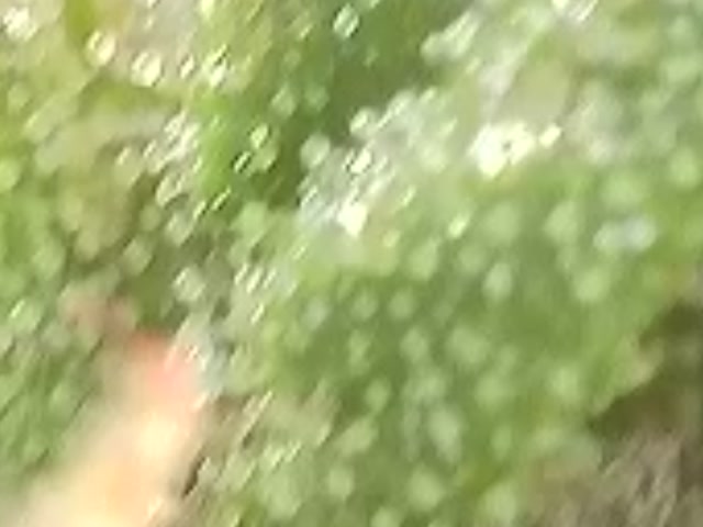 1000003640