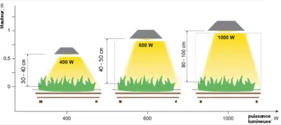 distancia focos marihuana+