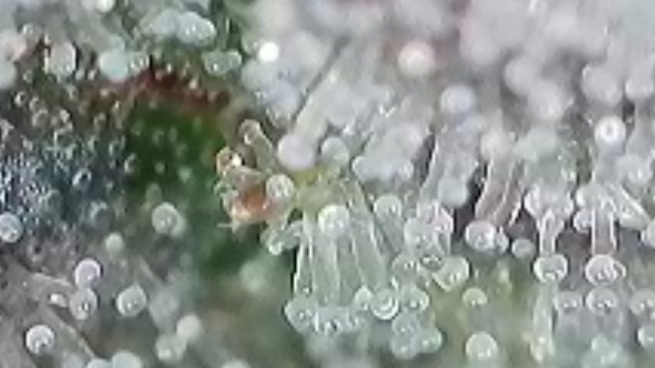 2025-09-27-144904270